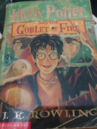 Image of Harry Potter